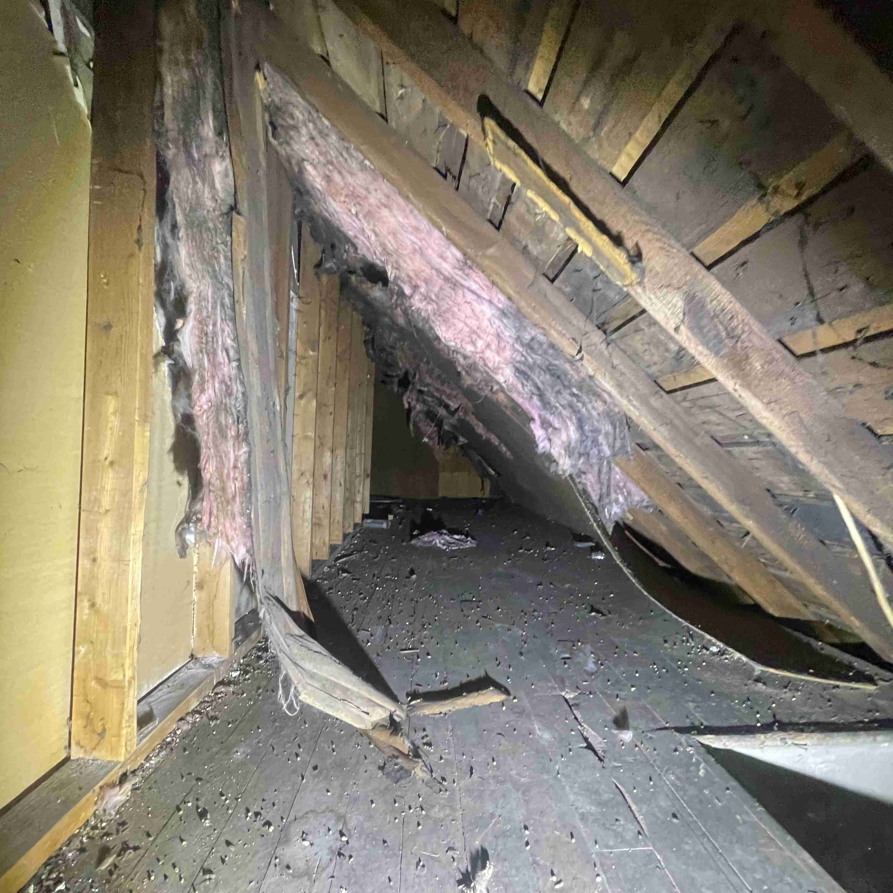 67 Englewood (84).jpg